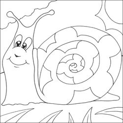 Caracol #2396