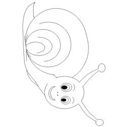 Caracol #2399