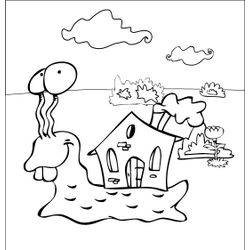 Caracol #2401