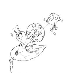 Caracol #2407