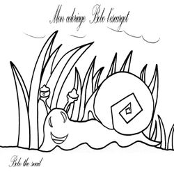 Caracol #2412