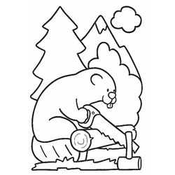 Castor #2450