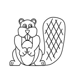 Castor #2460
