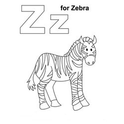 Cebra #2495