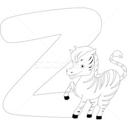 Cebra #2576