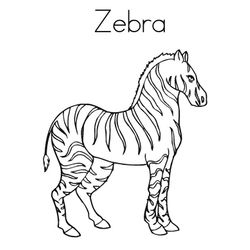 Cebra #2587