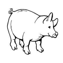 Cerdo #2597