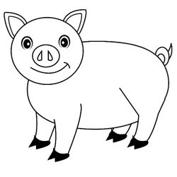 Cerdo #2606
