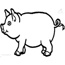 Cerdo #2610