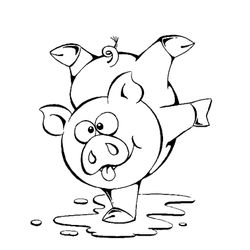 Cerdo #2616