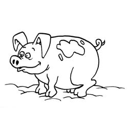 Cerdo #2617