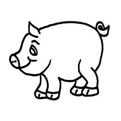 Cerdo #2618