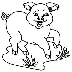 Cerdo #2630