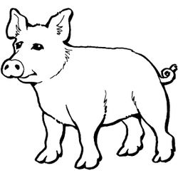 Cerdo #2631