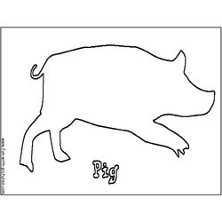 Cerdo #2638