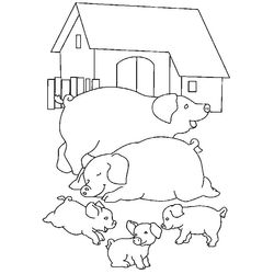 Cerdo #2639