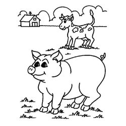 Cerdo #2645