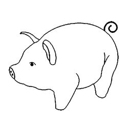Cerdo #2648