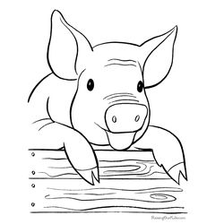 Cerdo #2650