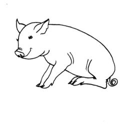Cerdo #2659