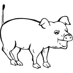 Cerdo #2660