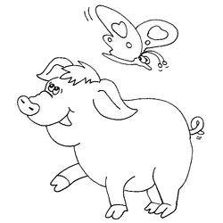 Cerdo #2664