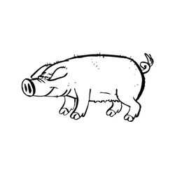 Cerdo #2667