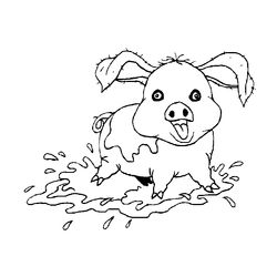 Cerdo #2669