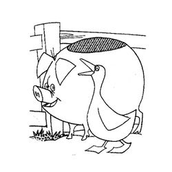 Cerdo #2677