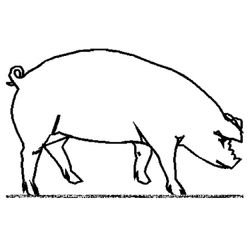 Cerdo #2693