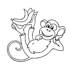Chimpancé #2714