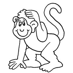 Chimpancé #2716