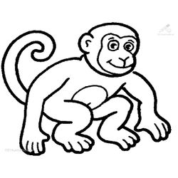 Chimpancé #2718