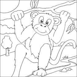 Chimpancé #2732