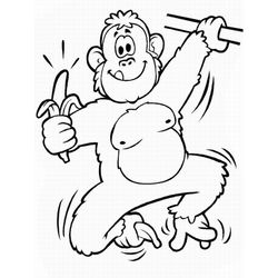 Chimpancé #2746