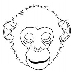 Chimpancé #2748