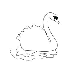 Cisne #2766