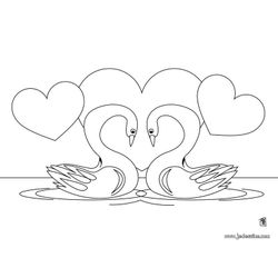 Cisne #2767
