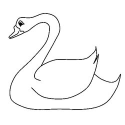 Cisne #2768