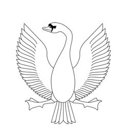 Cisne #2773