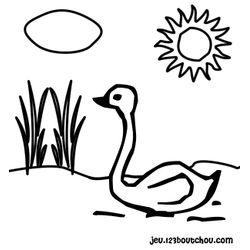 Cisne #2786