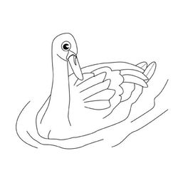 Cisne #2787