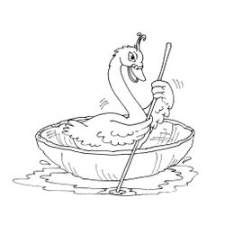 Cisne #2793