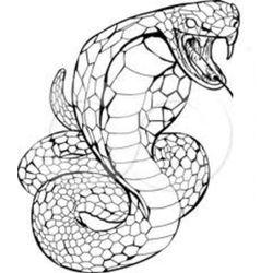 Cobra #2804