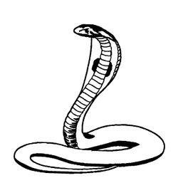 Cobra #2810