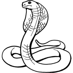 Cobra #2823