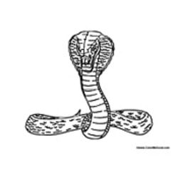 Cobra #2824