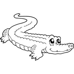 Cocodrilo #2835