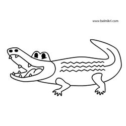 Cocodrilo #2838