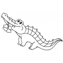 Cocodrilo #2846